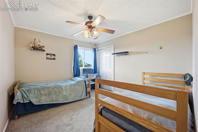 MLS Image for 8260  Ravenel  ,Colorado Springs, Colorado