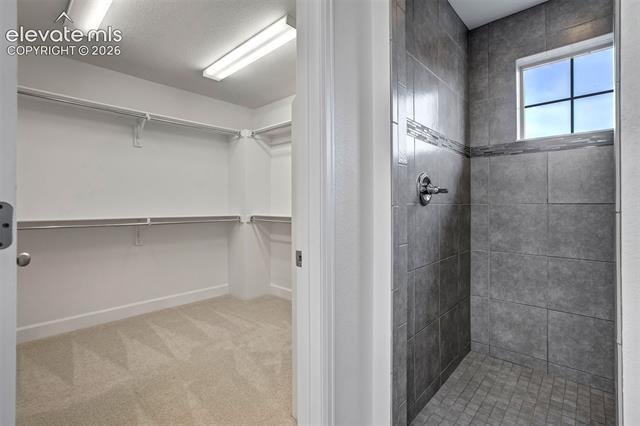 MLS Image for 7262  Jagged Tree  ,Colorado Springs, Colorado