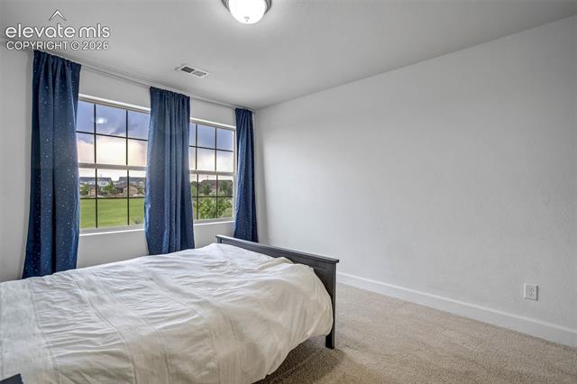 MLS Image for 7262  Jagged Tree  ,Colorado Springs, Colorado