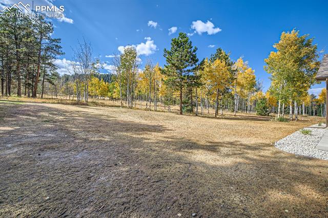 MLS Image for 1313  Stone Ridge  ,Woodland Park, Colorado