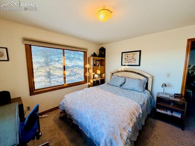 MLS Image for 24988  Ben Kelly  ,Elbert, Colorado