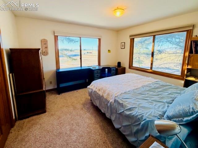 MLS Image for 24988  Ben Kelly  ,Elbert, Colorado