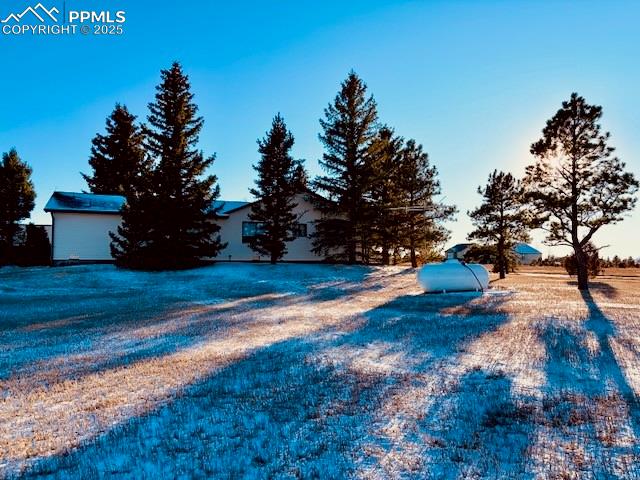 MLS Image for 24988  Ben Kelly  ,Elbert, Colorado
