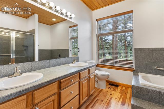 MLS Image for 3110  Regent  ,Woodland Park, Colorado