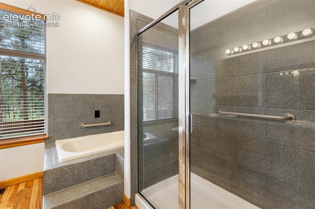 MLS Image for 3110  Regent  ,Woodland Park, Colorado