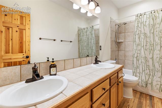 MLS Image for 3110  Regent  ,Woodland Park, Colorado