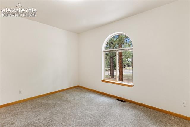 MLS Image for 3110  Regent  ,Woodland Park, Colorado
