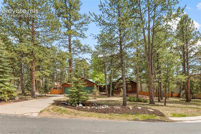 MLS Image for 3110  Regent  ,Woodland Park, Colorado