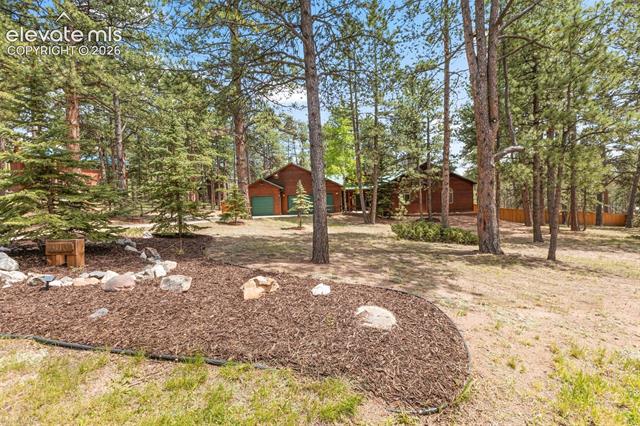 MLS Image for 3110  Regent  ,Woodland Park, Colorado