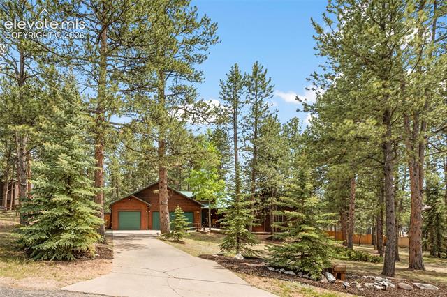 MLS Image for 3110  Regent  ,Woodland Park, Colorado