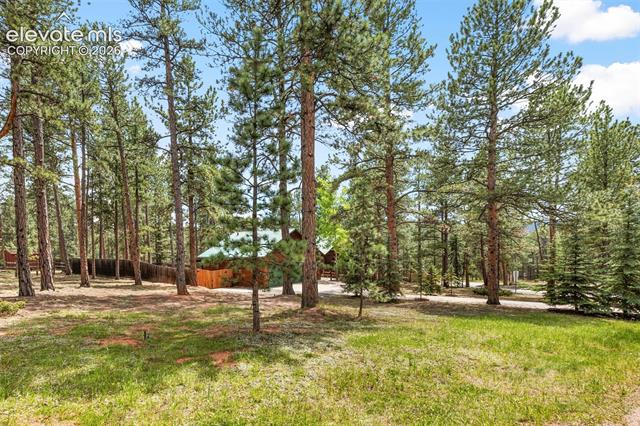 MLS Image for 3110  Regent  ,Woodland Park, Colorado