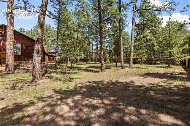 MLS Image for 3110  Regent  ,Woodland Park, Colorado