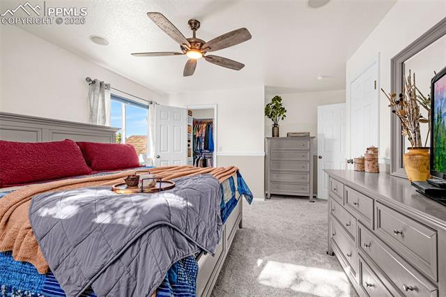 MLS Image for 7747  Cordelle  ,Colorado Springs, Colorado