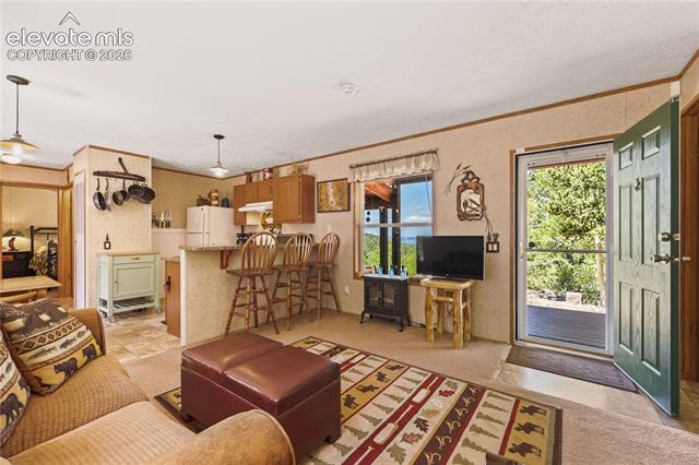 MLS Image for 9525 S Highway 67  ,Divide, Colorado