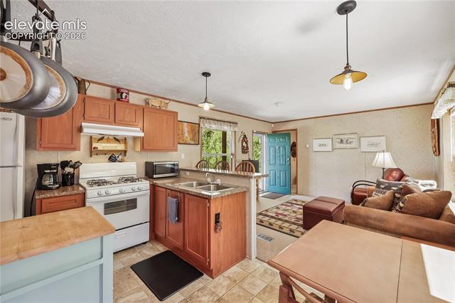 MLS Image for 9525 S Highway 67  ,Divide, Colorado