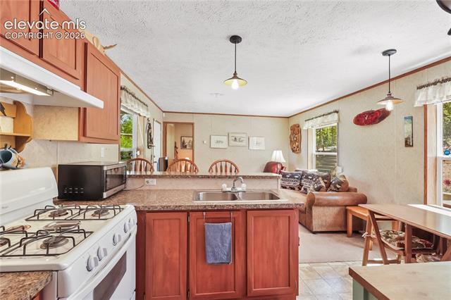 MLS Image for 9525 S Highway 67  ,Divide, Colorado