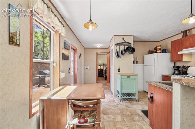MLS Image for 9525 S Highway 67  ,Divide, Colorado