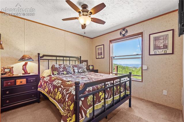 MLS Image for 9525 S Highway 67  ,Divide, Colorado