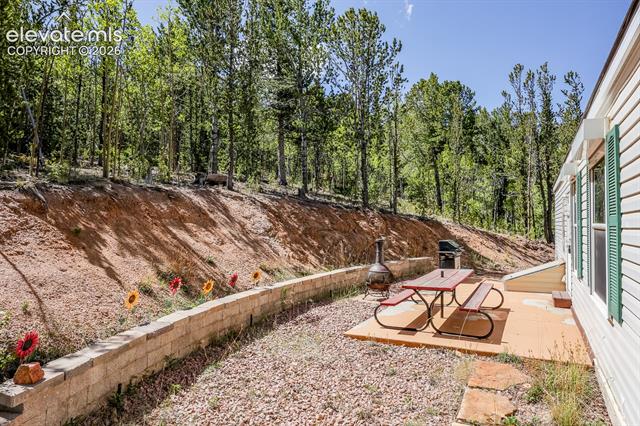 MLS Image for 9525 S Highway 67  ,Divide, Colorado