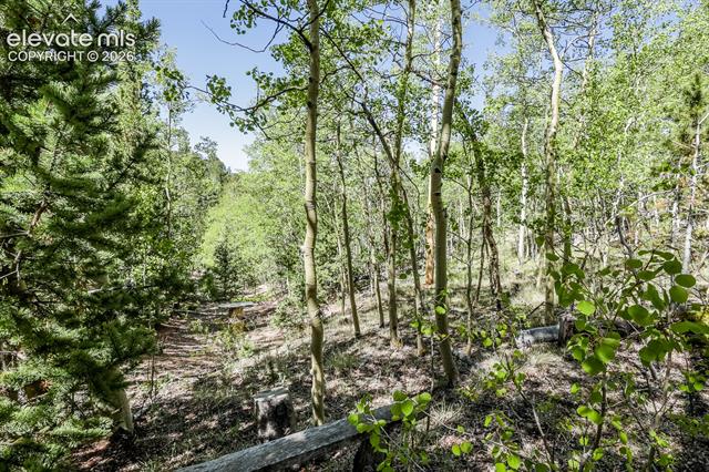 MLS Image for 9525 S Highway 67  ,Divide, Colorado