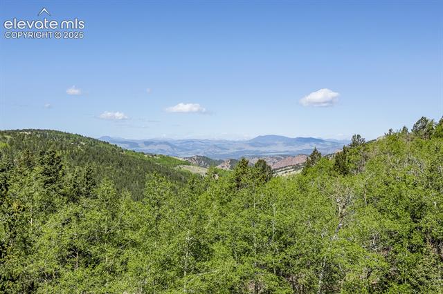 MLS Image for 9525 S Highway 67  ,Divide, Colorado