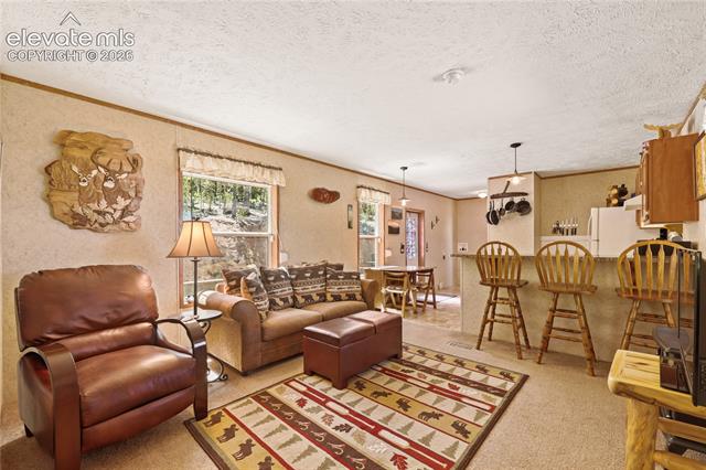 MLS Image for 9525 S Highway 67  ,Divide, Colorado
