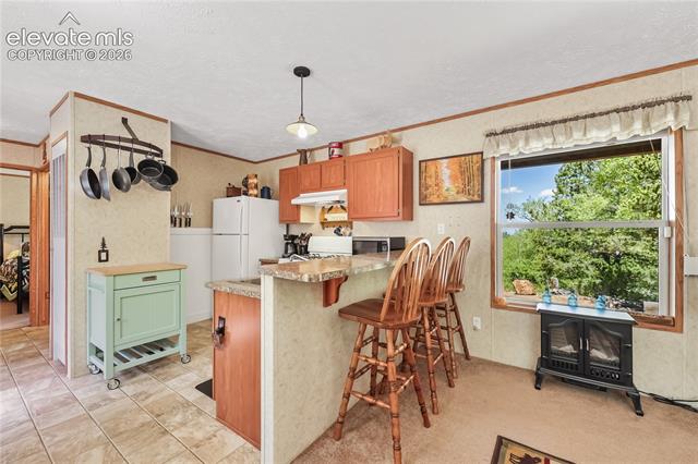 MLS Image for 9525 S Highway 67  ,Divide, Colorado