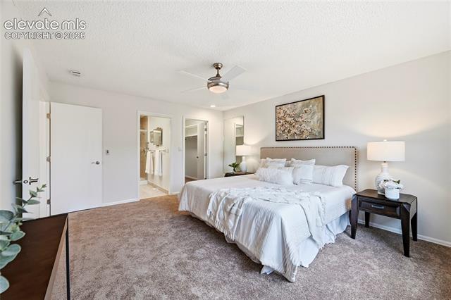 MLS Image for 2733  Purgatory  ,Colorado Springs, Colorado