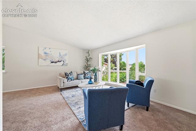 MLS Image for 2733  Purgatory  ,Colorado Springs, Colorado