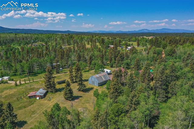 MLS Image for 1264  Cedar Mountain  ,Divide, Colorado