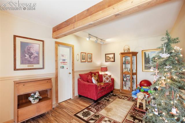 MLS Image for 1264  Cedar Mountain  ,Divide, Colorado