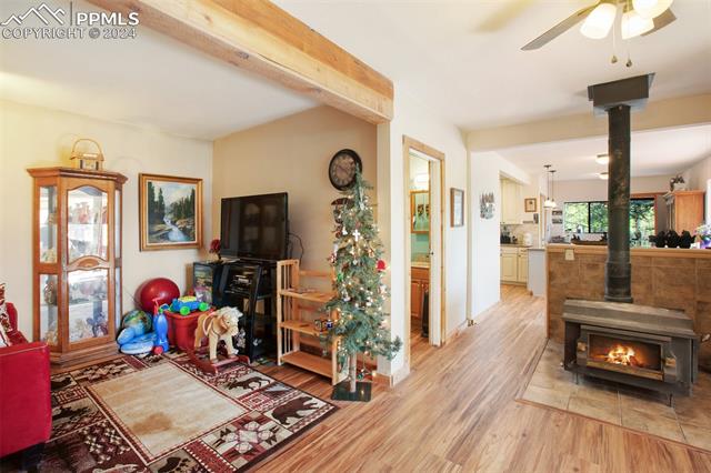 MLS Image for 1264  Cedar Mountain  ,Divide, Colorado