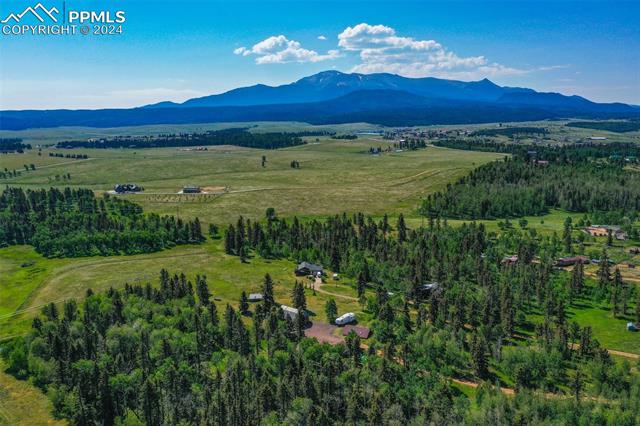 MLS Image for 1264  Cedar Mountain  ,Divide, Colorado