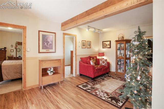 MLS Image for 1264  Cedar Mountain  ,Divide, Colorado