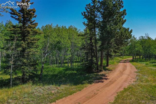 MLS Image for 1264  Cedar Mountain  ,Divide, Colorado