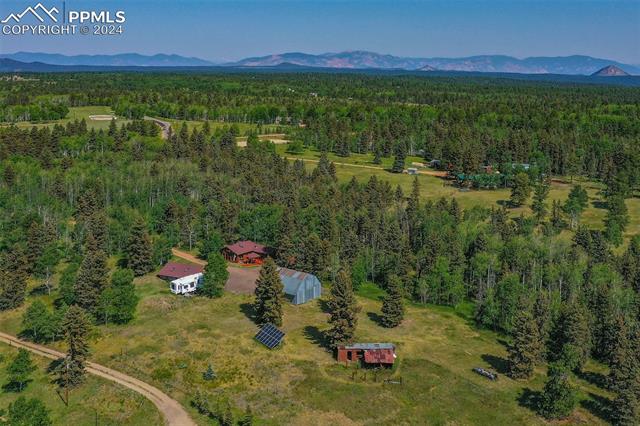 MLS Image for 1264  Cedar Mountain  ,Divide, Colorado