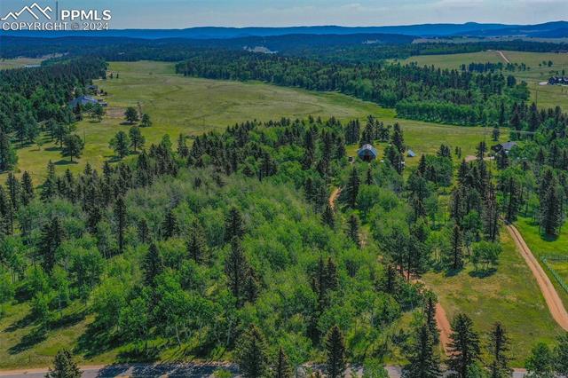 MLS Image for 1264  Cedar Mountain  ,Divide, Colorado