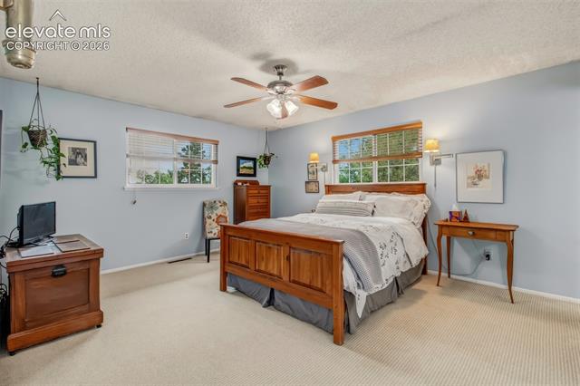 MLS Image for 21  Newport  ,Colorado Springs, Colorado