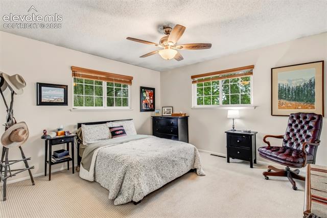 MLS Image for 21  Newport  ,Colorado Springs, Colorado