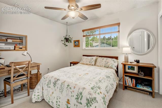 MLS Image for 21  Newport  ,Colorado Springs, Colorado