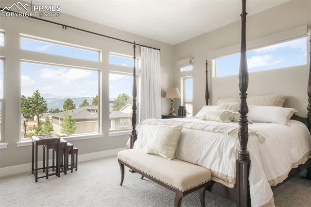 MLS Image for 1070  Panoramic  ,Monument, Colorado