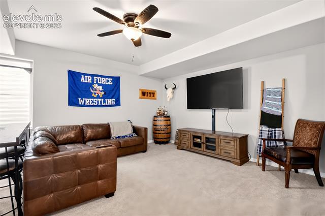 MLS Image for 10846  Hidden Brook  ,Colorado Springs, Colorado