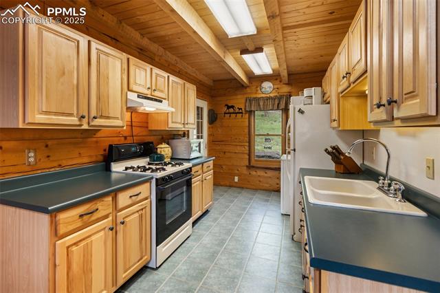 MLS Image for 133  Vail  ,Florissant, Colorado