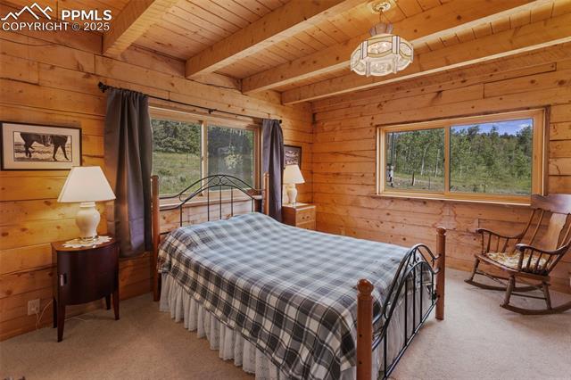 MLS Image for 133  Vail  ,Florissant, Colorado