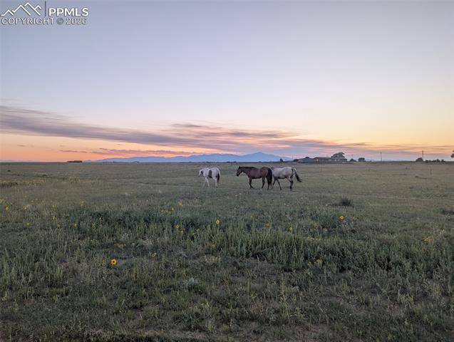 MLS Image for 21825  Drennan  ,Colorado Springs, Colorado