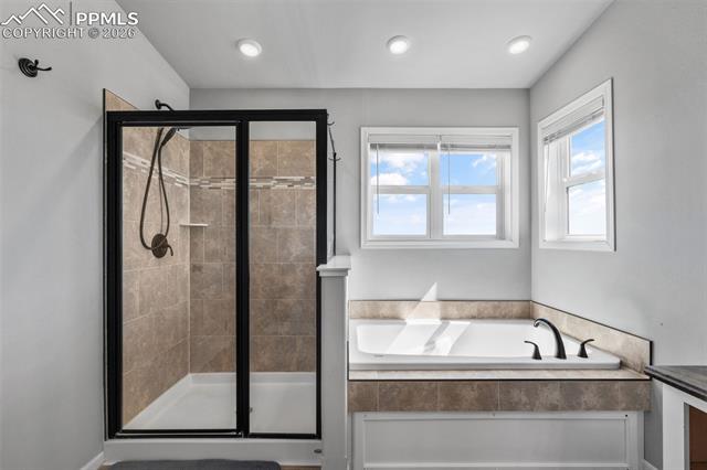MLS Image for 21825  Drennan  ,Colorado Springs, Colorado
