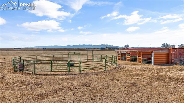 MLS Image for 21825  Drennan  ,Colorado Springs, Colorado