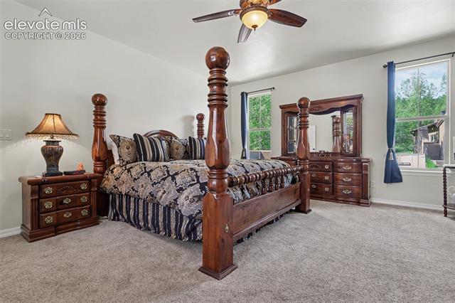 MLS Image for 1808  La Bellezza  ,Colorado Springs, Colorado