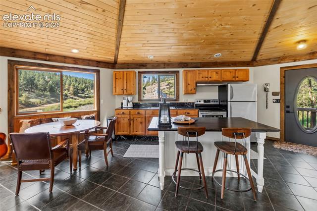MLS Image for 658  Conestoga Creek  ,Florissant, Colorado