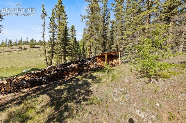 MLS Image for 658  Conestoga Creek  ,Florissant, Colorado